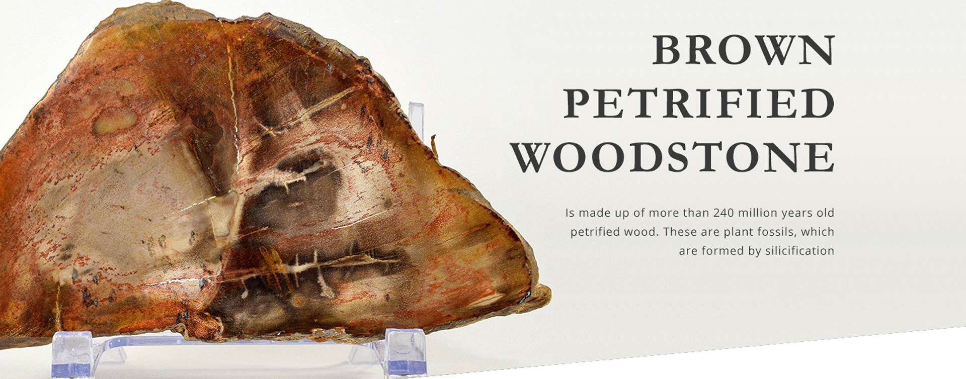 PETRIFIED WOODSTONE Gemstone Alt