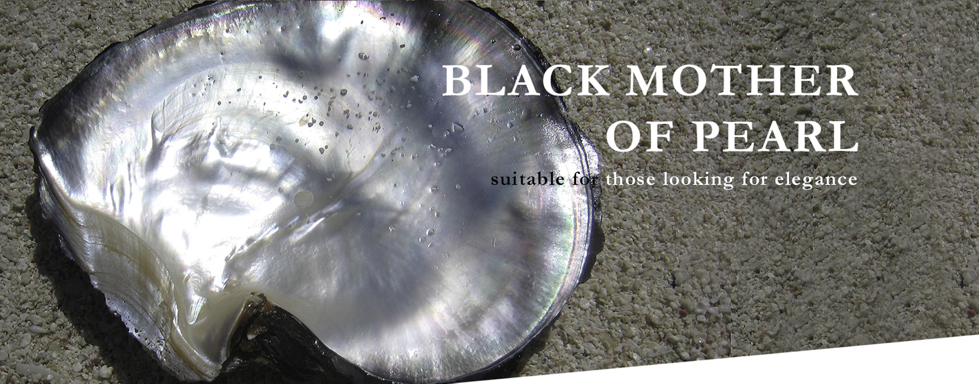 BLACK MOTHER OF PEARL Gemstone Alt