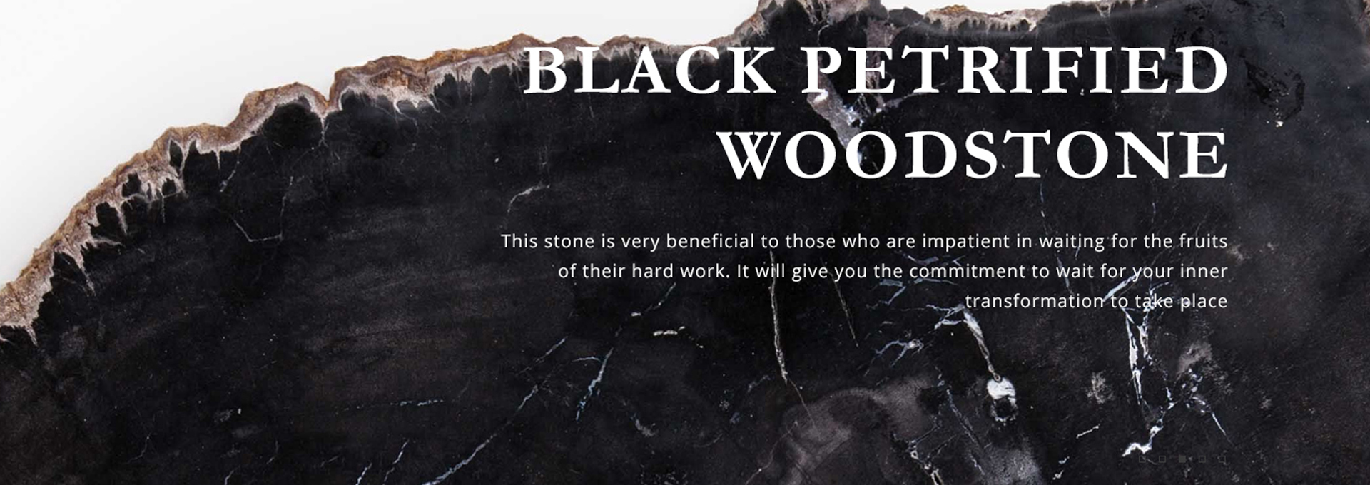 BLACK PETRIFIED WOODSTONE Gemstone Alt