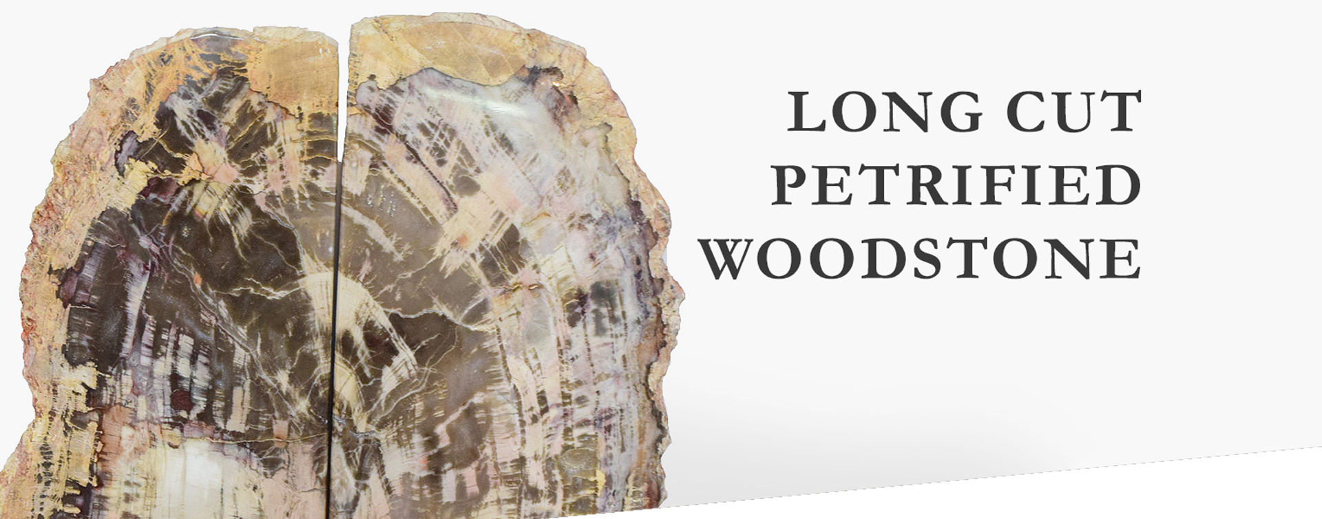 LONG CUT PETRIFIED WOOD  Gemstone Alt